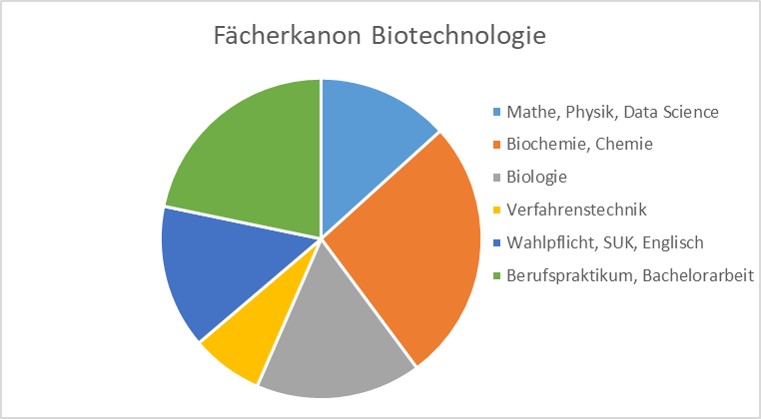 Fächerkanon im Studiengang Biotechnologie
